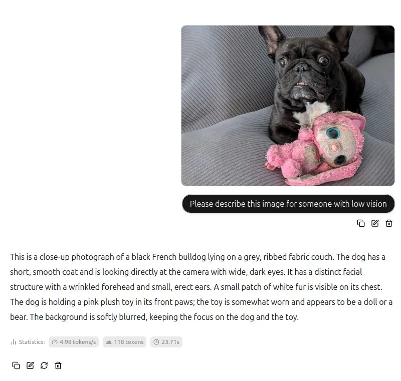 Screenshot of the chat with llama.cpp showing a picture of a dog and a very accurate description that says "This is a close-up photograph of a black French bulldog lying on a grey, ribbed fabric couch. The dog has a short, smooth coat and is looking directly at the camera with wide, dark eyes. It has a distinct facial structure with a wrinkled forehead and small, erect ears. A small patch of white fur is visible on its chest. The dog is holding a pink plush toy in its front paws; the toy is somewhat worn and appears to be a doll or a bear. The background is softly blurred, keeping the focus on the dog and the toy."
